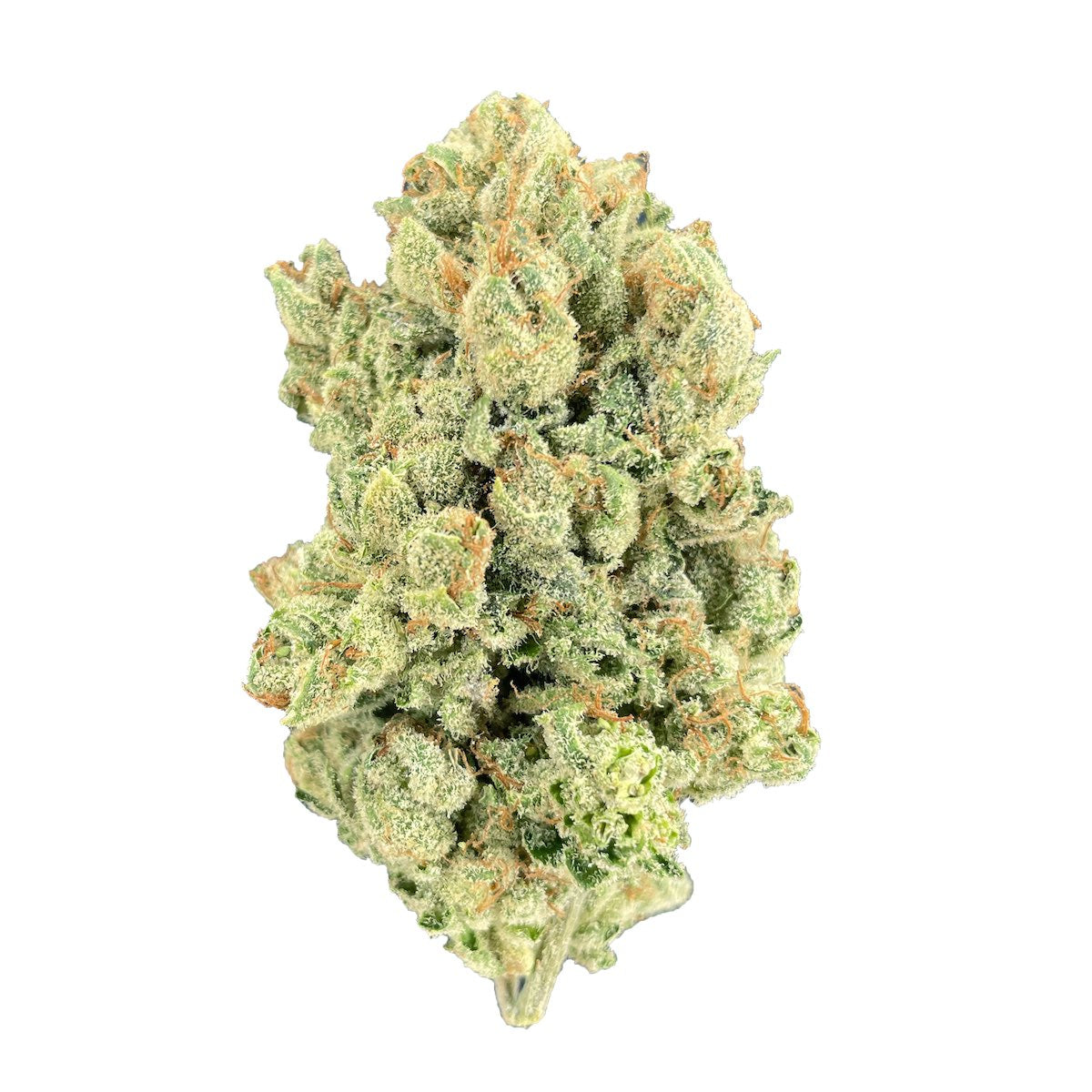 Orange Tree marijuana strain flower with orange and citrus flavor and relaxed / happy effects - Rare Harvest hybrid