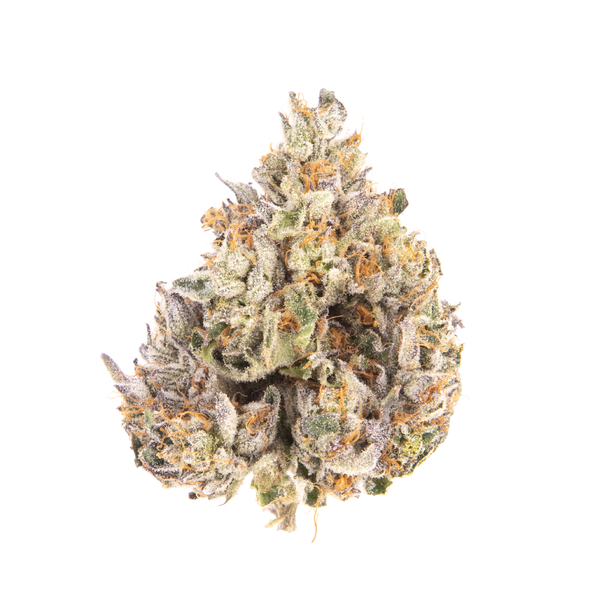 Yellow Roses marijuana strain flower with berry and flowery flavor and euphoric / happy effects - Rare Harvest hybrid