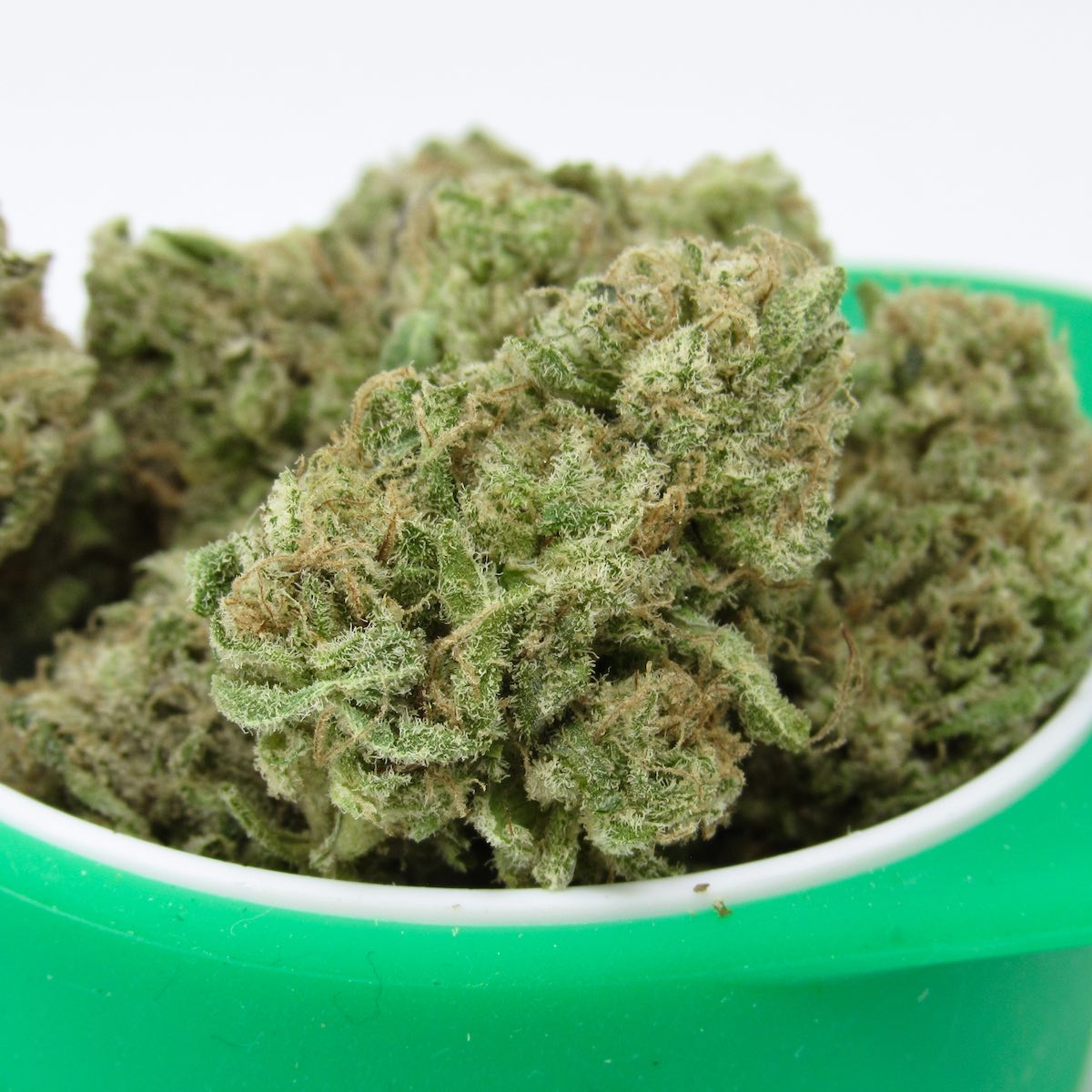 Coolio marijuana strain flower with orange and sweet flavor and uplifted / euphoric effects - Rare Harvest hybrid