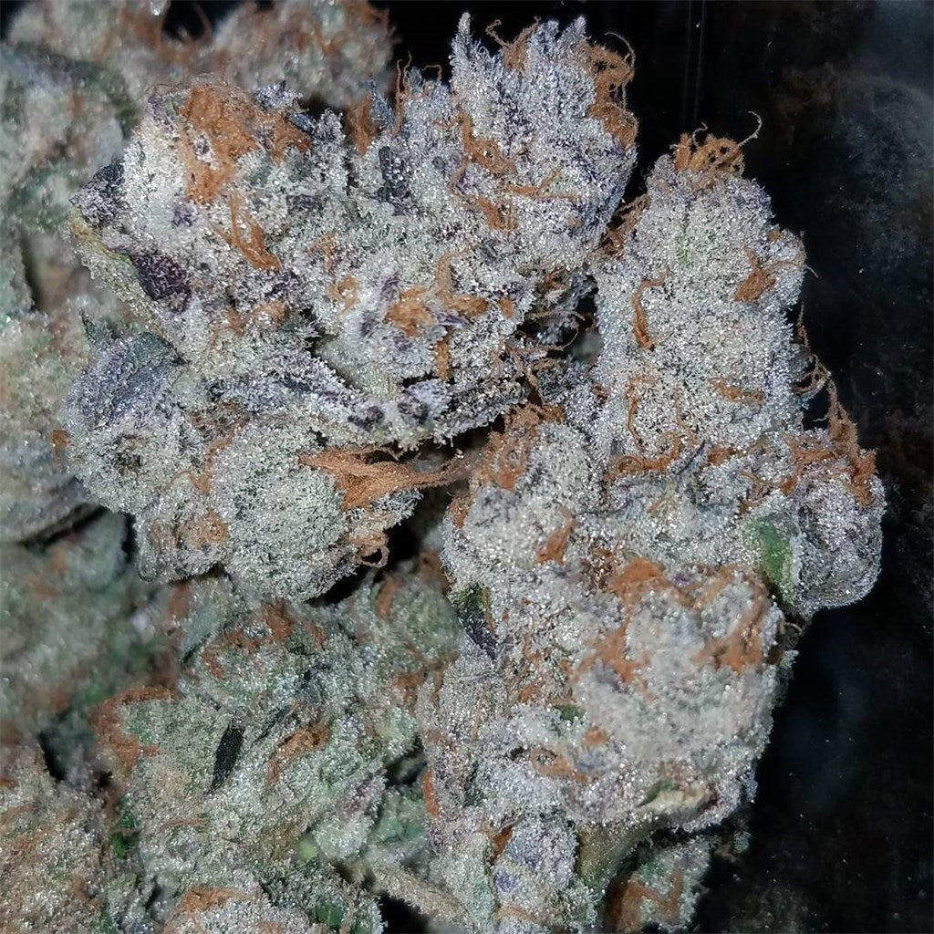 $100 OG marijuana strain flower with coffee and earthy flavor and creative / euphoric effects - Rare Harvest hybrid