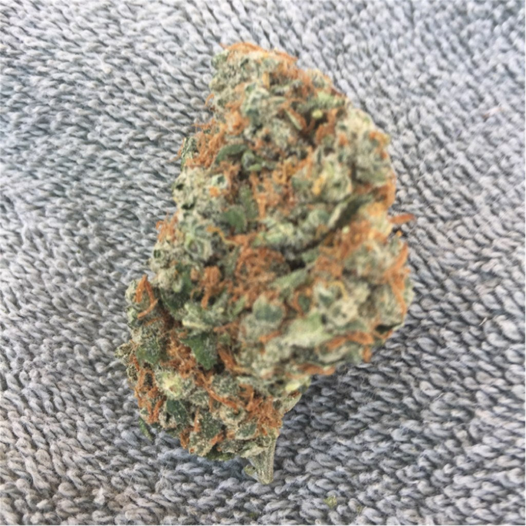 1024 marijuana strain flower with tea and tropical flavor and energetic / uplifted effects - Rare Harvest sativa