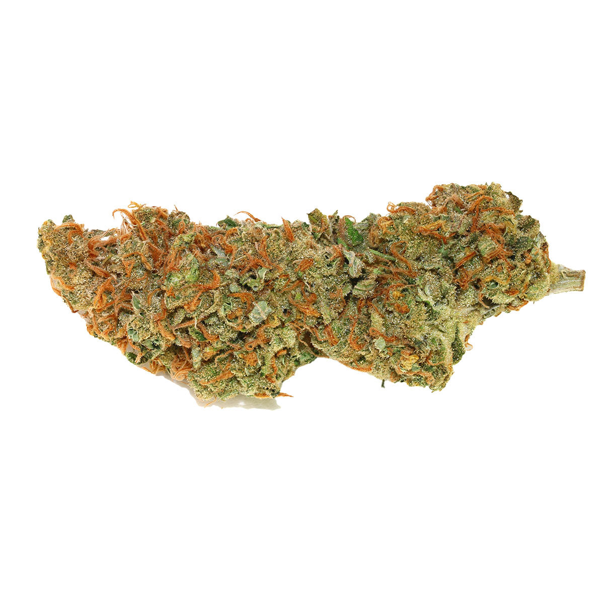 Sweet Amnesia Haze XL Auto marijuana strain flower with lemon and woody flavor and energetic / creative effects - Rare Harvest sativa