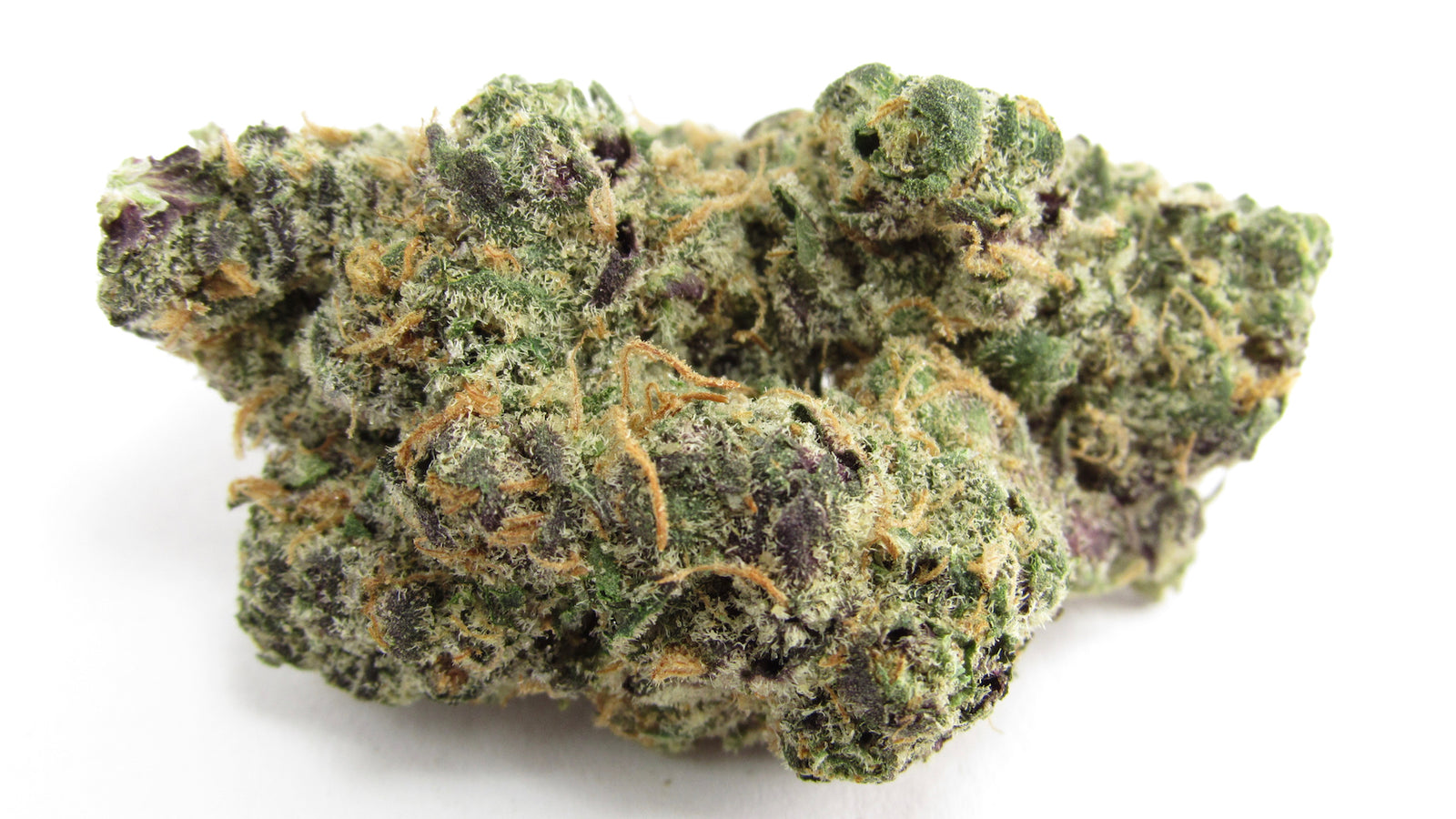 Apples to Apples marijuana strain flower with cheese and apple flavor and uplifted / happy effects - Rare Harvest hybrid
