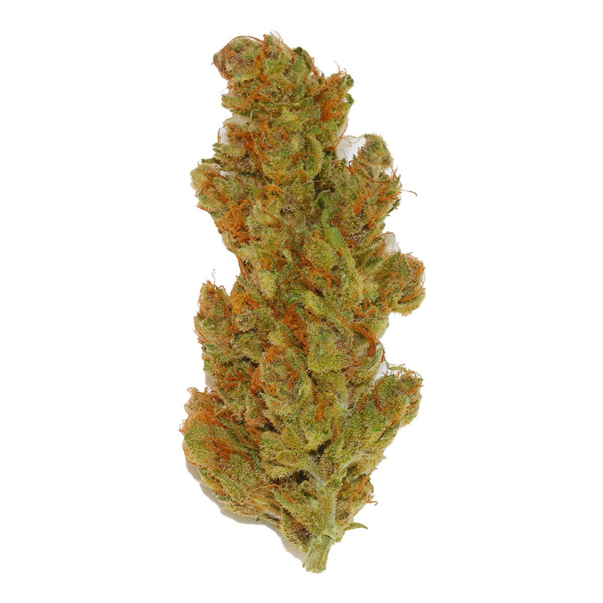 Purple Punch OG XL Auto marijuana strain flower - Rare Harvest indica