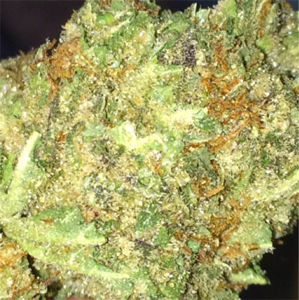 303 Kush marijuana strain flower with woody and earthy flavor and relaxed / sleepy effects - Rare Harvest indica