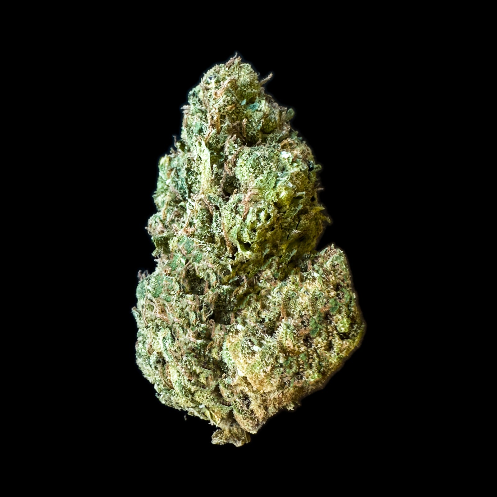 Lemon Snooze marijuana strain flower - Rare Harvest hybrid