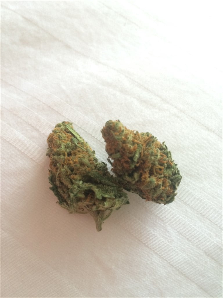 3D CBD marijuana strain flower with woody and diesel flavor and uplifted / relaxed effects - Rare Harvest sativa
