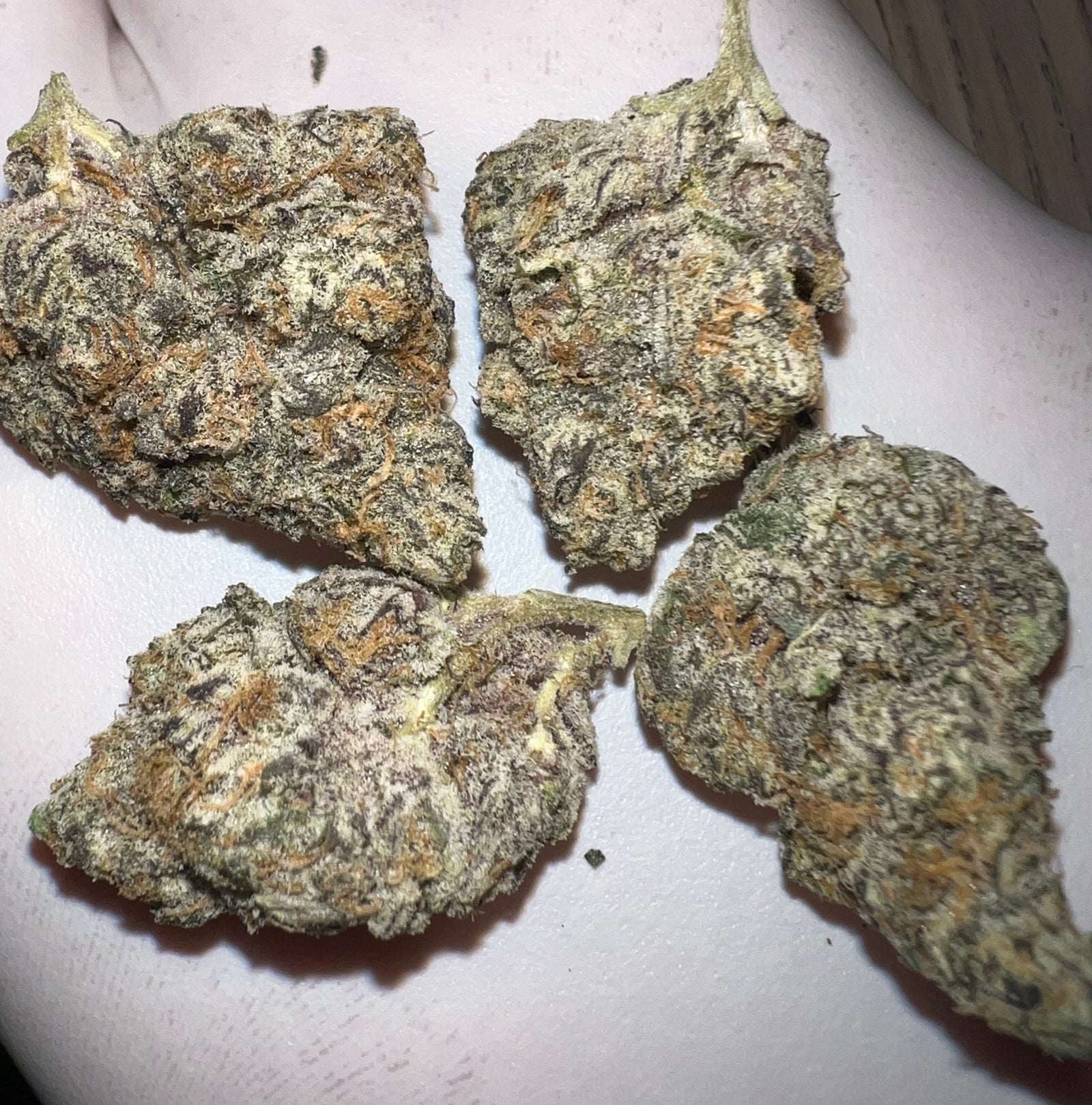 Foie Gras marijuana strain flower - Rare Harvest hybrid