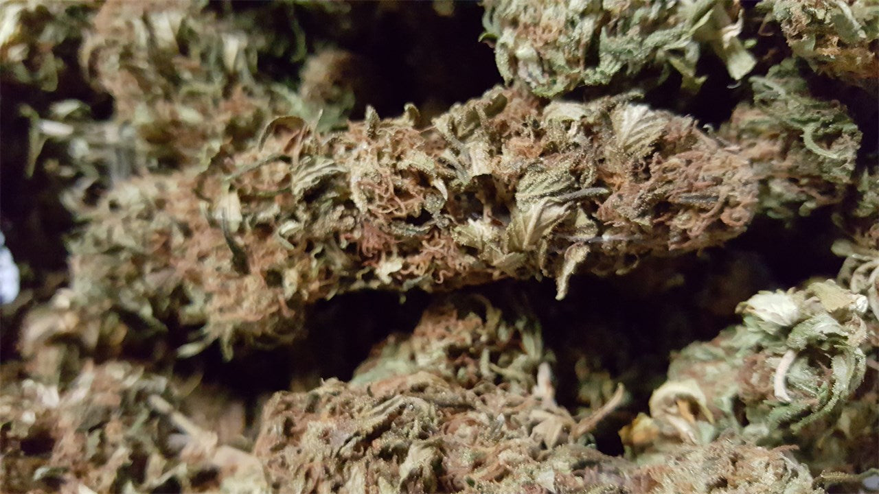 3X Crazy marijuana strain flower with pepper and earthy flavor and relaxed / sleepy effects - Rare Harvest indica