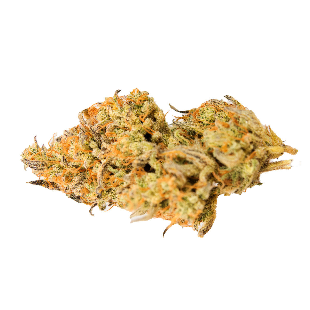 Jealousy Z XL Auto marijuana strain flower - Rare Harvest hybrid