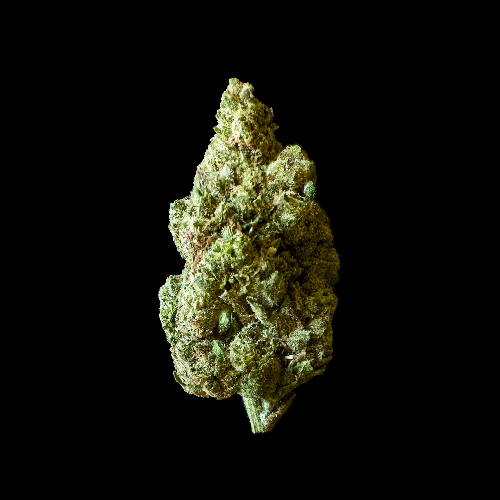 Venus Gelato marijuana strain flower - Rare Harvest hybrid