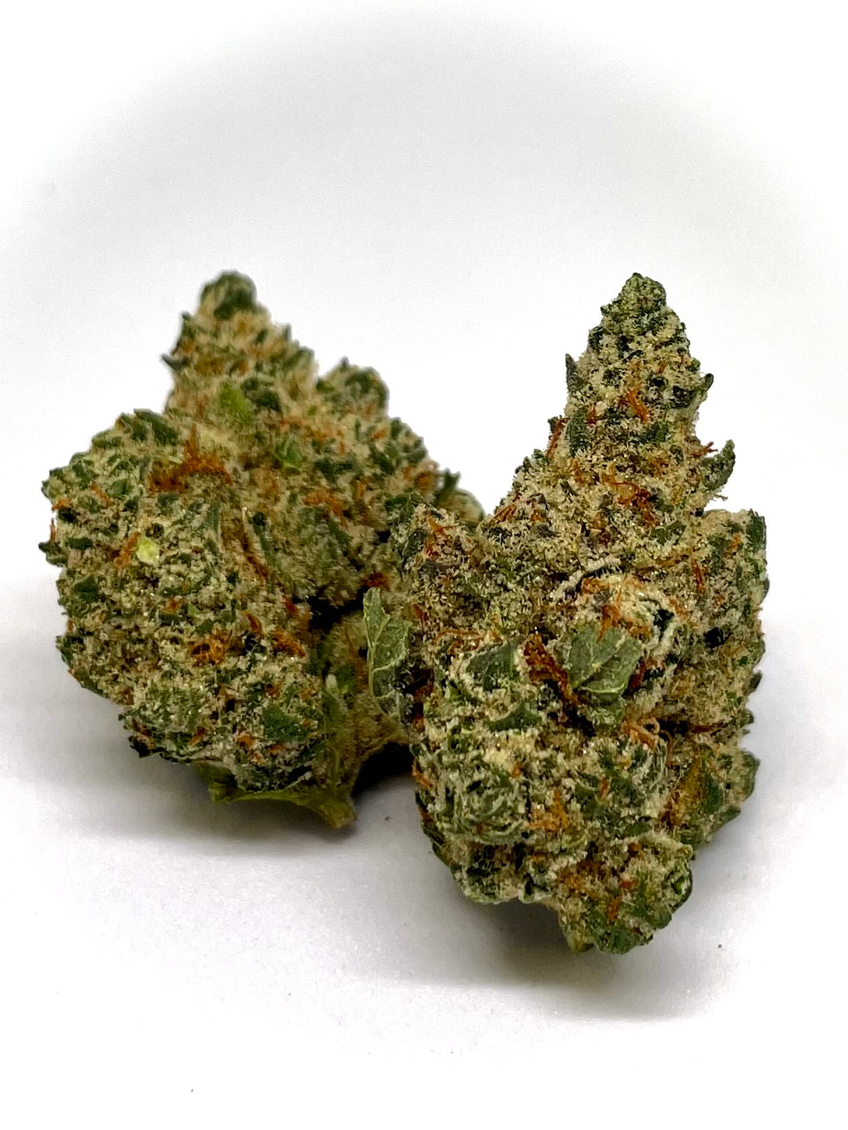 Mexican Wedding marijuana strain flower and creative / uplifted effects - Rare Harvest hybrid