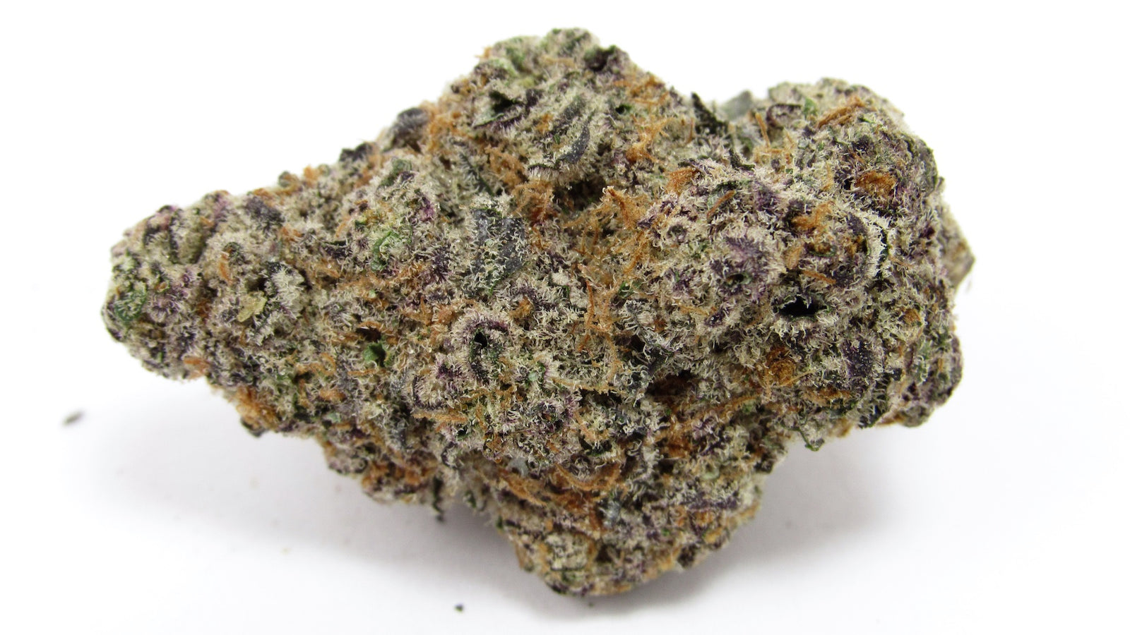 Glitter Bomb marijuana strain flower with pear and plum flavor and tingly / giggly effects - Rare Harvest hybrid