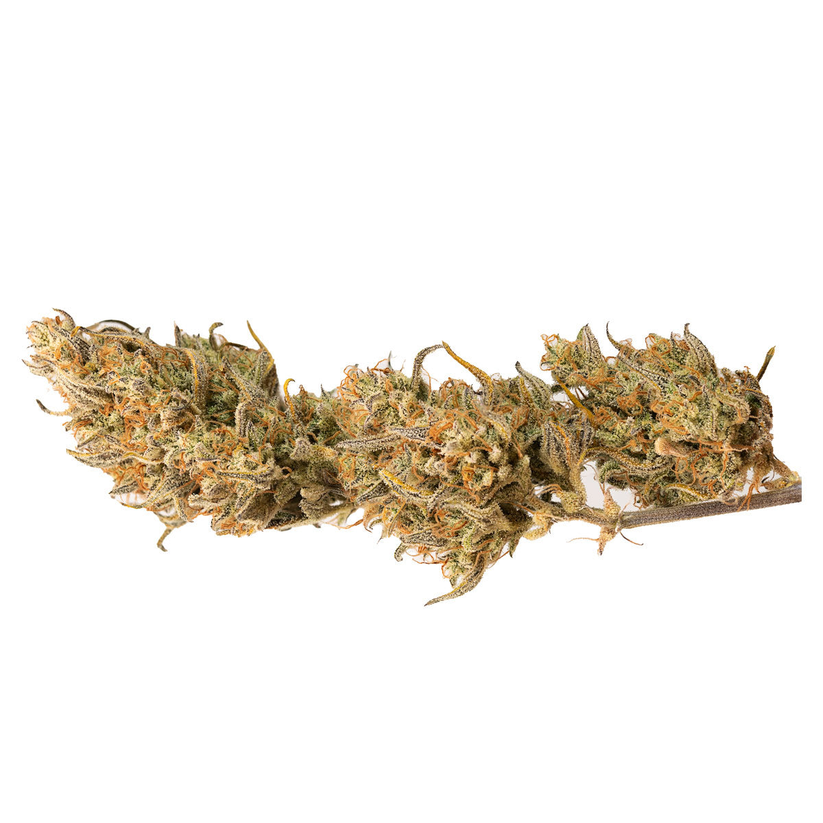 Crystal Candy XL Auto marijuana strain flower with mango and berry flavor and happy / sleepy effects - Rare Harvest indica