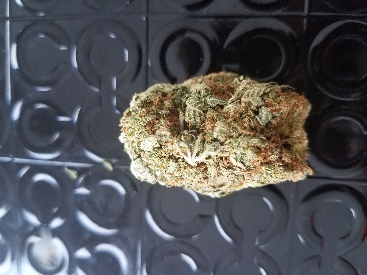 707 marijuana strain flower with skunk and pungent flavor and creative / uplifted effects - Rare Harvest hybrid