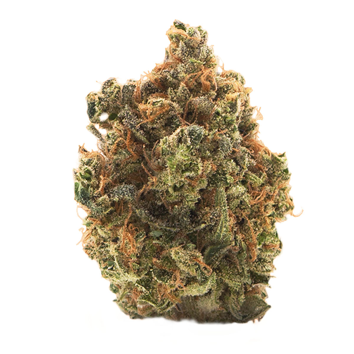 Flora d’ Explora marijuana strain flower with pineapple and diesel flavor and energetic / creative effects - Rare Harvest sativa