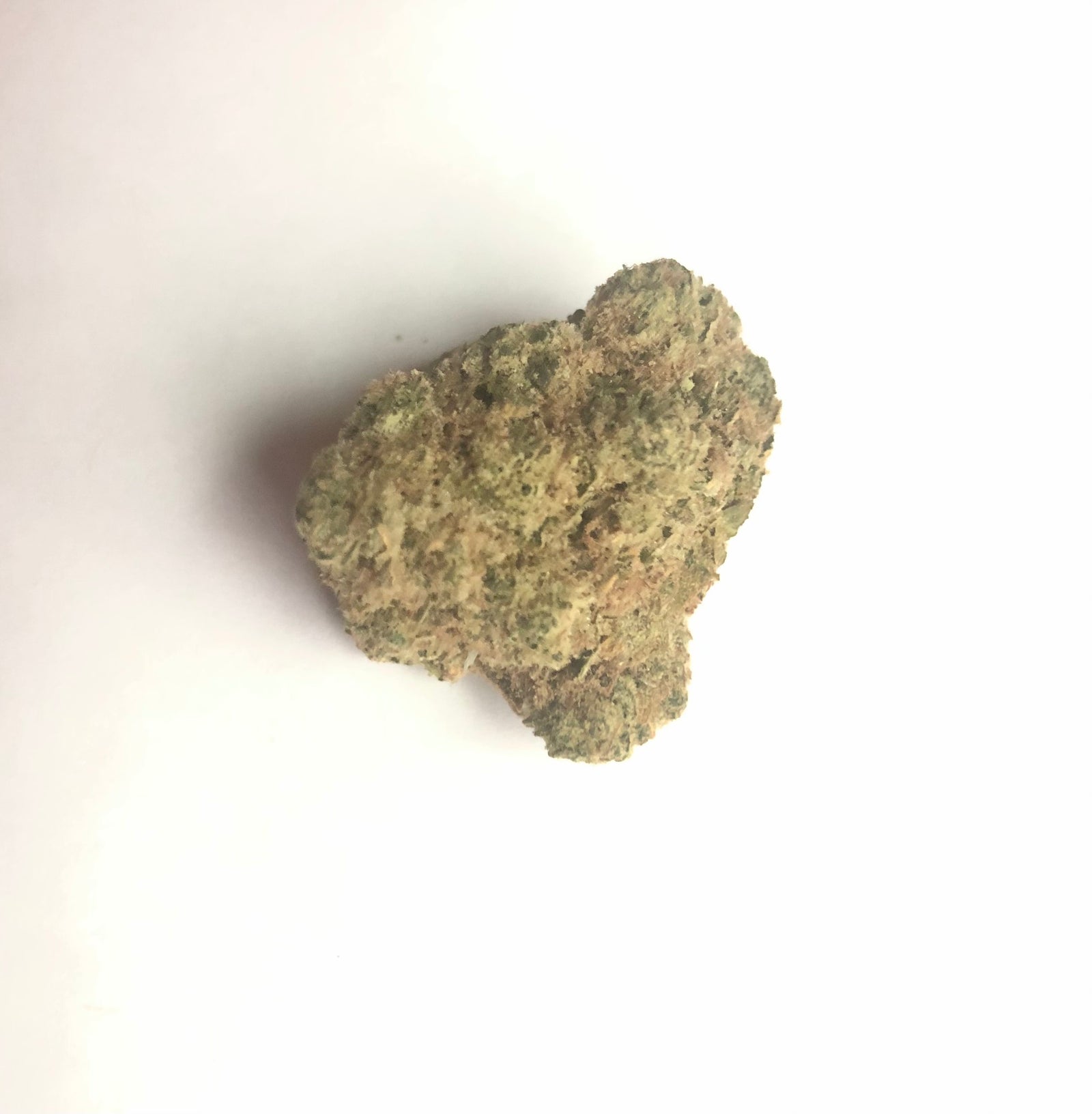Chem Z marijuana strain flower with berry and coffee flavor and uplifted / creative effects - Rare Harvest hybrid