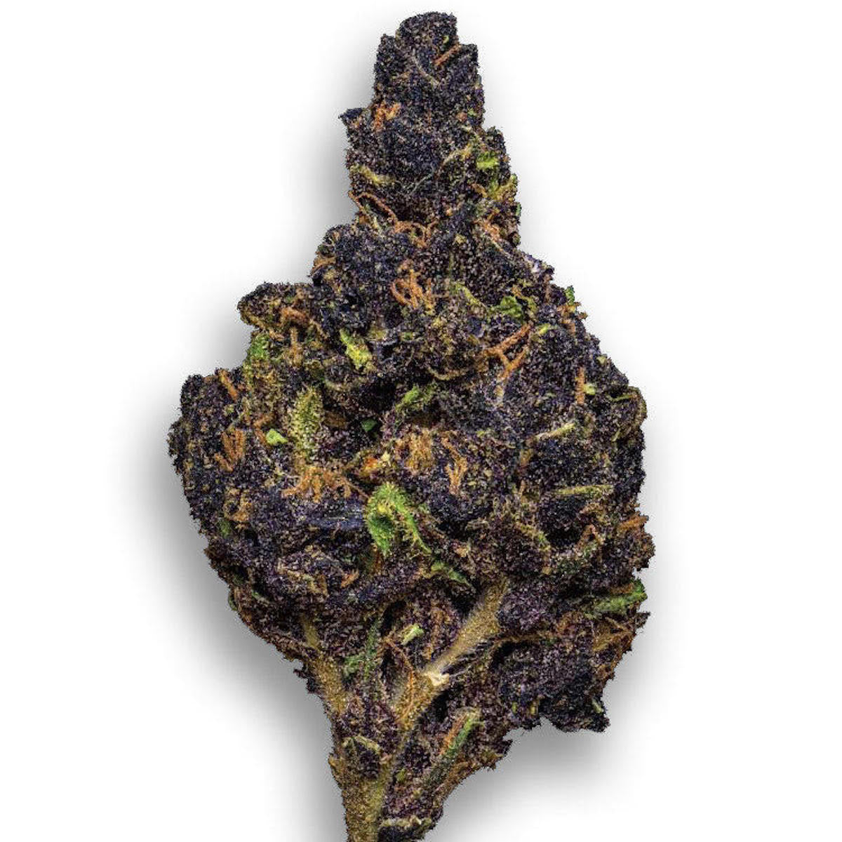 Canna Country #26 marijuana strain flower with tropical and pungent flavor and energetic / creative effects - Rare Harvest hybrid