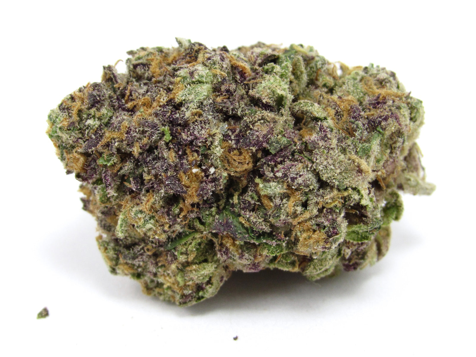 Scratch & Sniff marijuana strain flower with butter and cheese flavor and energetic / focused effects - Rare Harvest hybrid