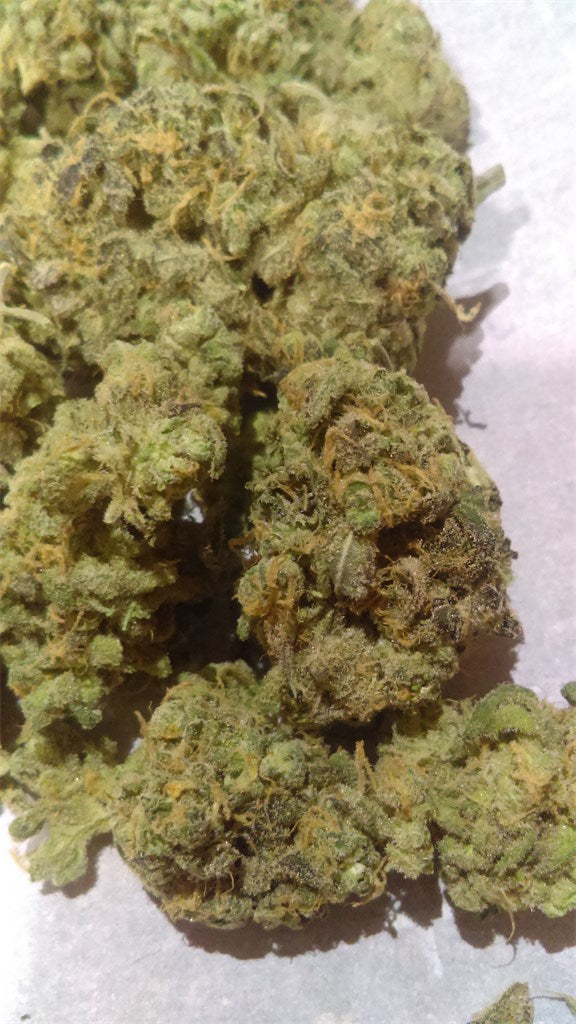 9 lb Hammer marijuana strain flower with lime and earthy flavor and sleepy / relaxed effects - Rare Harvest indica