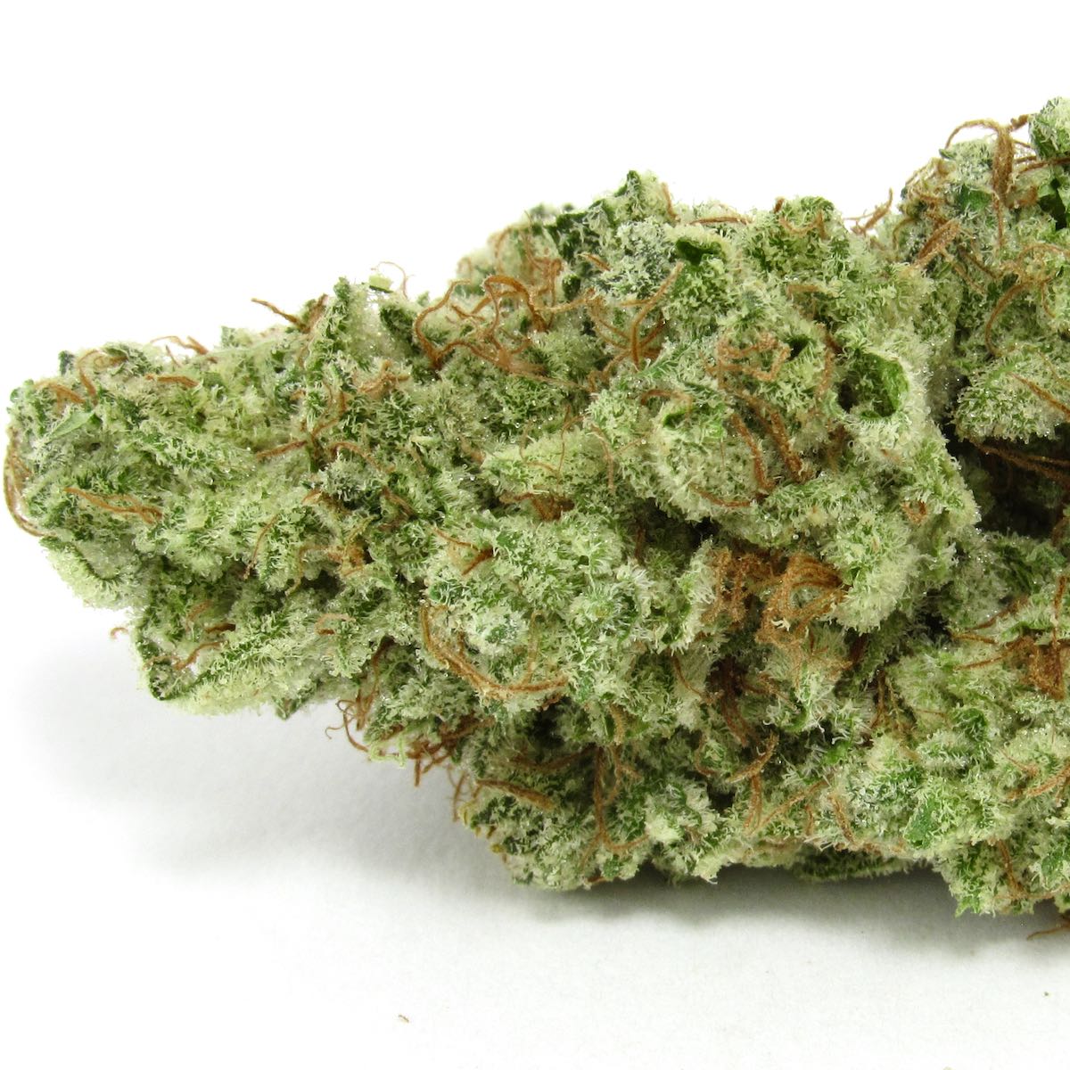 Grumpy Tiger marijuana strain flower and happy / relaxed effects - Rare Harvest hybrid