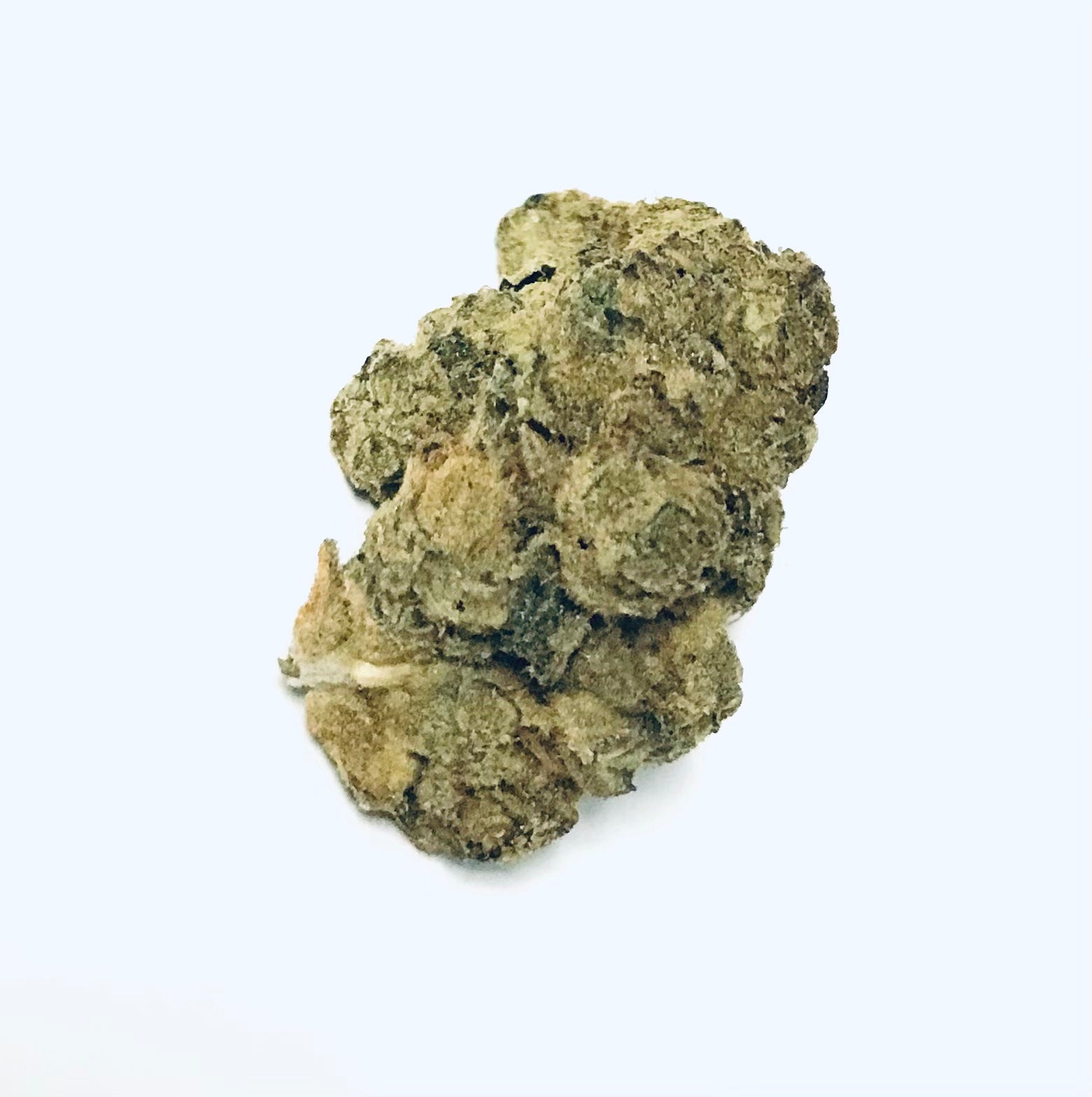 Serial Jealousy marijuana strain flower with lemon and sweet flavor and euphoric / relaxed effects - Rare Harvest hybrid