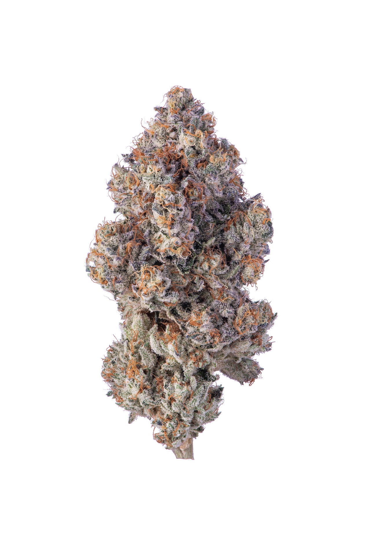 Khalifa Mints marijuana strain flower with menthol and mint flavor and relaxed / euphoric effects - Rare Harvest hybrid