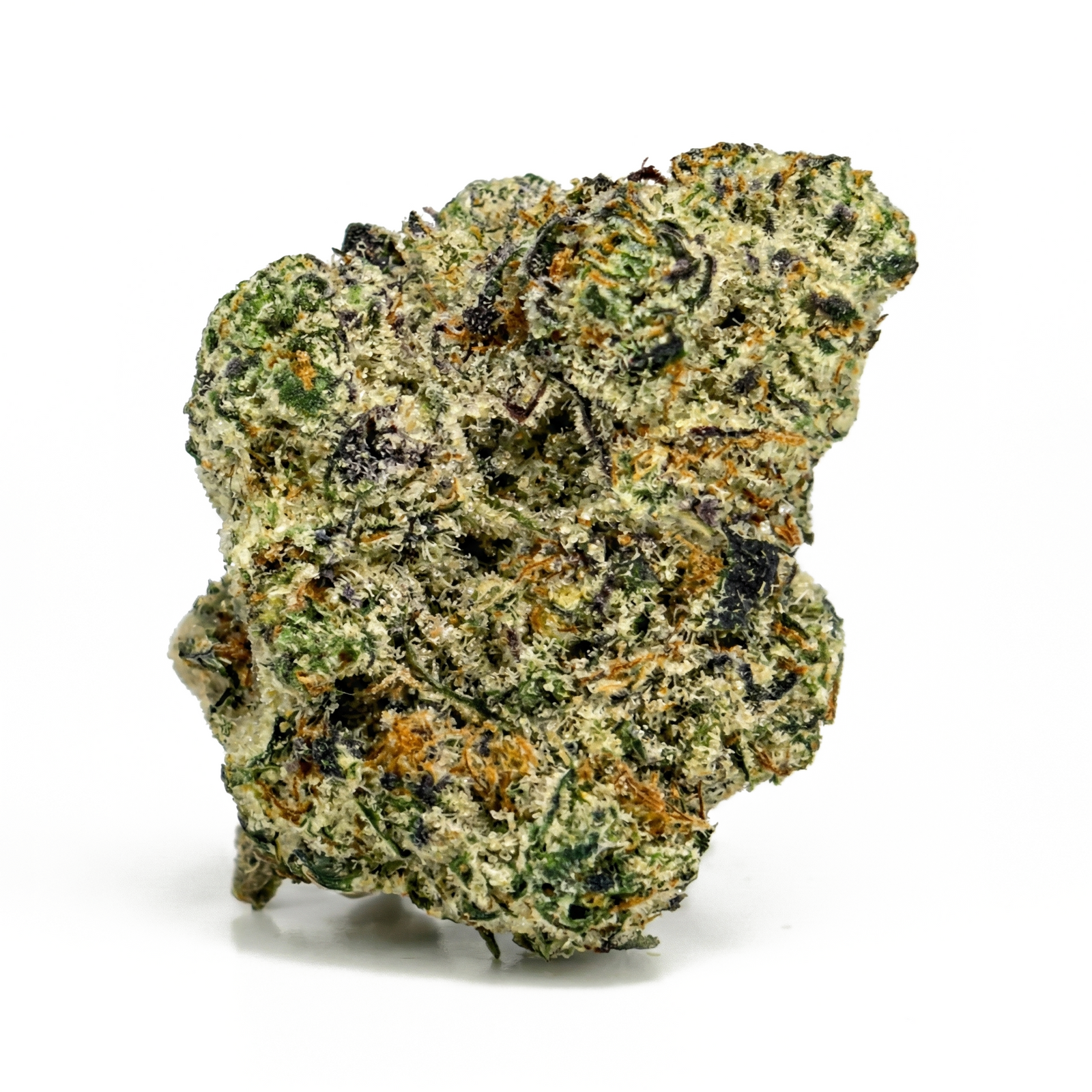 Blue Lobster marijuana strain flower with plum and apple flavor and euphoric / relaxed effects - Rare Harvest hybrid