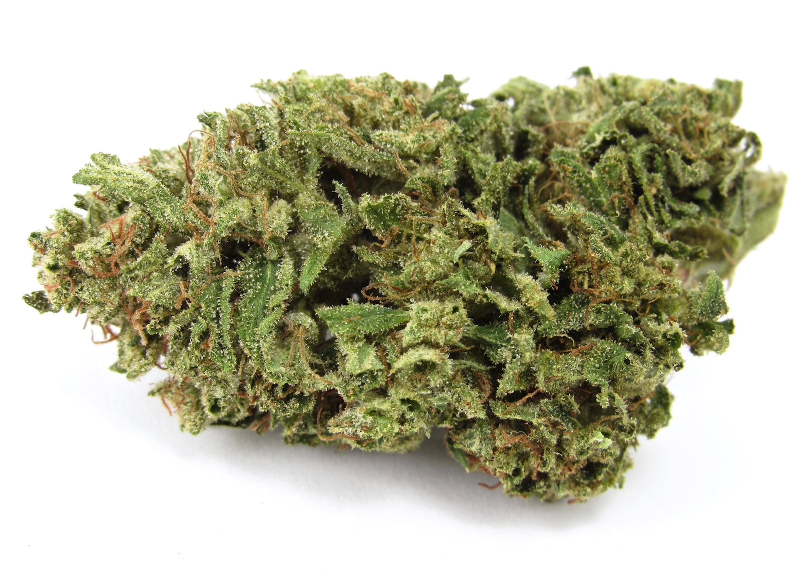 La Bomba marijuana strain flower with chemical and blue cheese flavor and giggly / focused effects - Rare Harvest hybrid