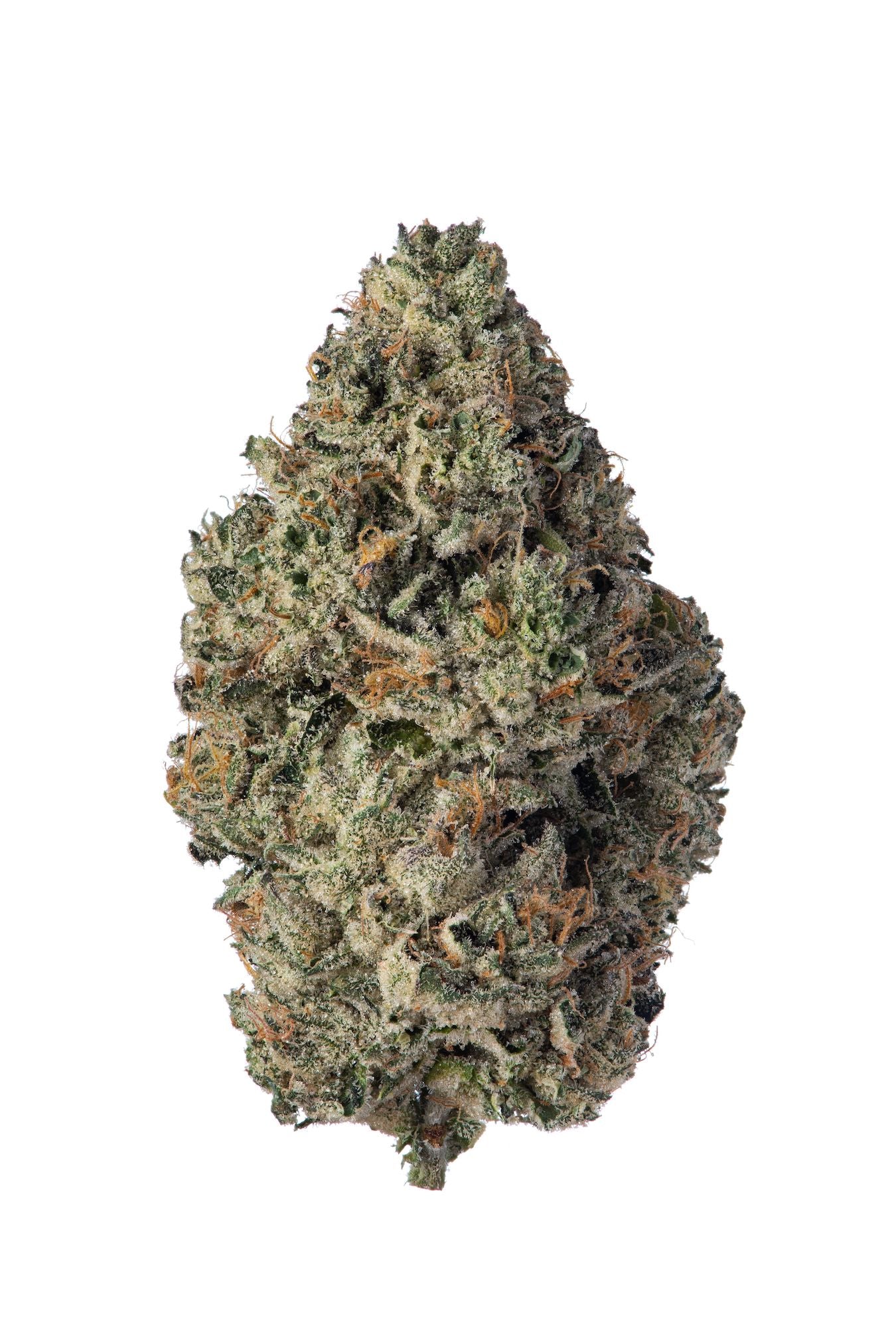 Bernie HanaButter marijuana strain flower with butter and honey flavor and relaxed / uplifted effects - Rare Harvest indica
