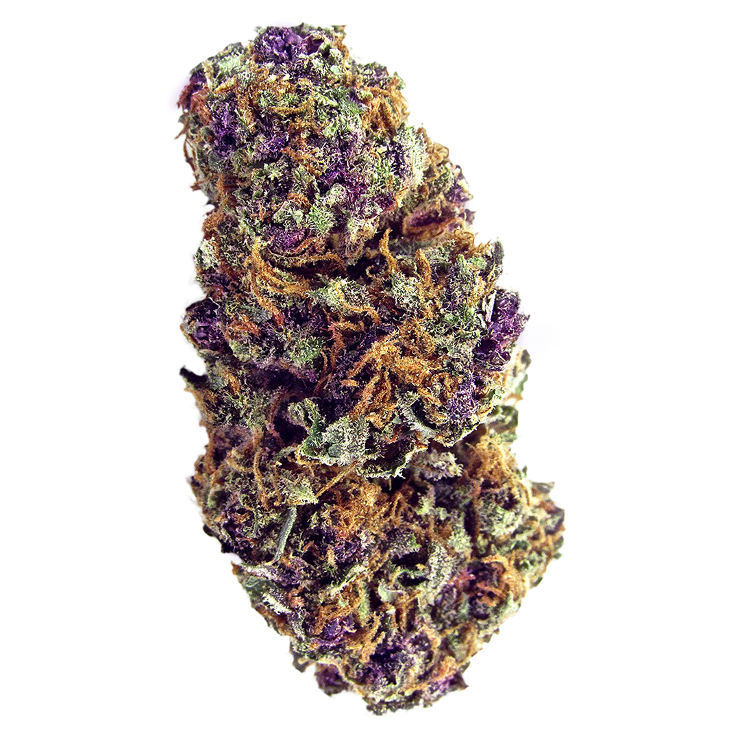 Purple Palm Tree Delight marijuana strain flower with berry and blueberry flavor and talkative / giggly effects - Rare Harvest indica