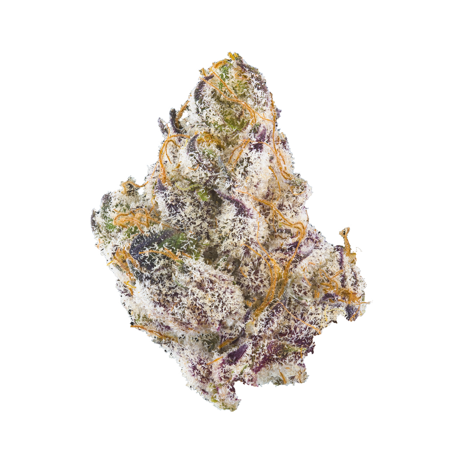 French Laundry marijuana strain flower with sage and lavender flavor and creative / happy effects - Rare Harvest hybrid