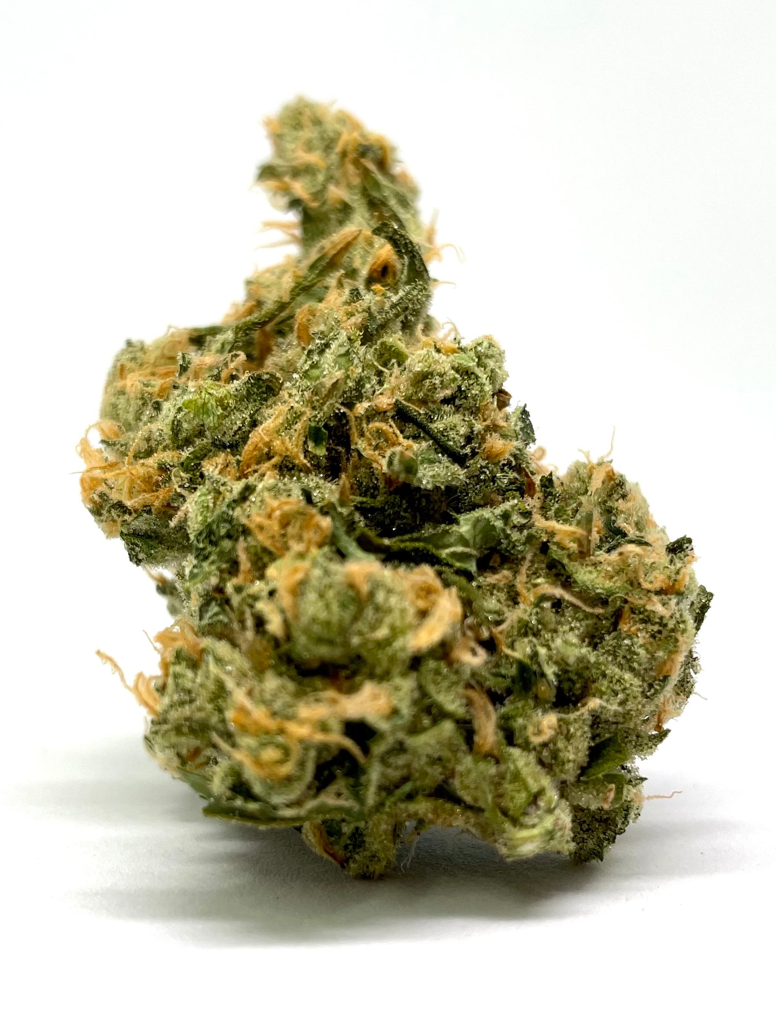 Orange Safari marijuana strain flower - Rare Harvest hybrid