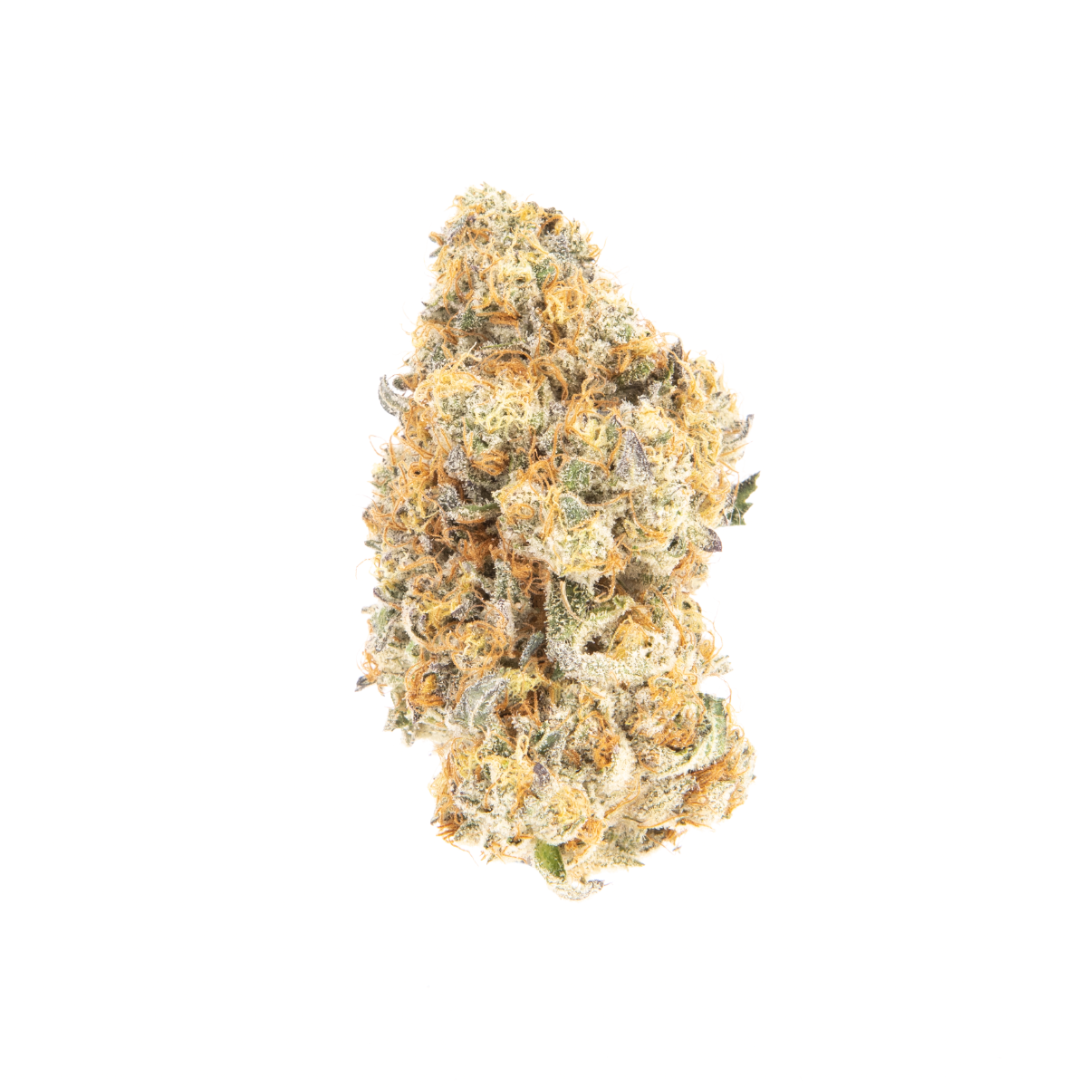 Disco marijuana strain flower with strawberry and berry flavor and euphoric / energetic effects - Rare Harvest hybrid