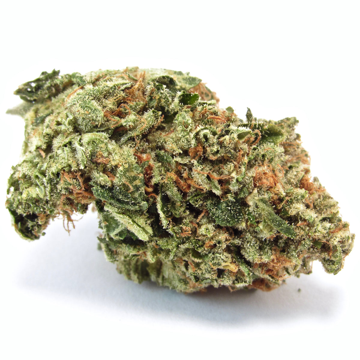 Motorbreath marijuana strain flower with chemical and pepper flavor and relaxed / euphoric effects - Rare Harvest hybrid