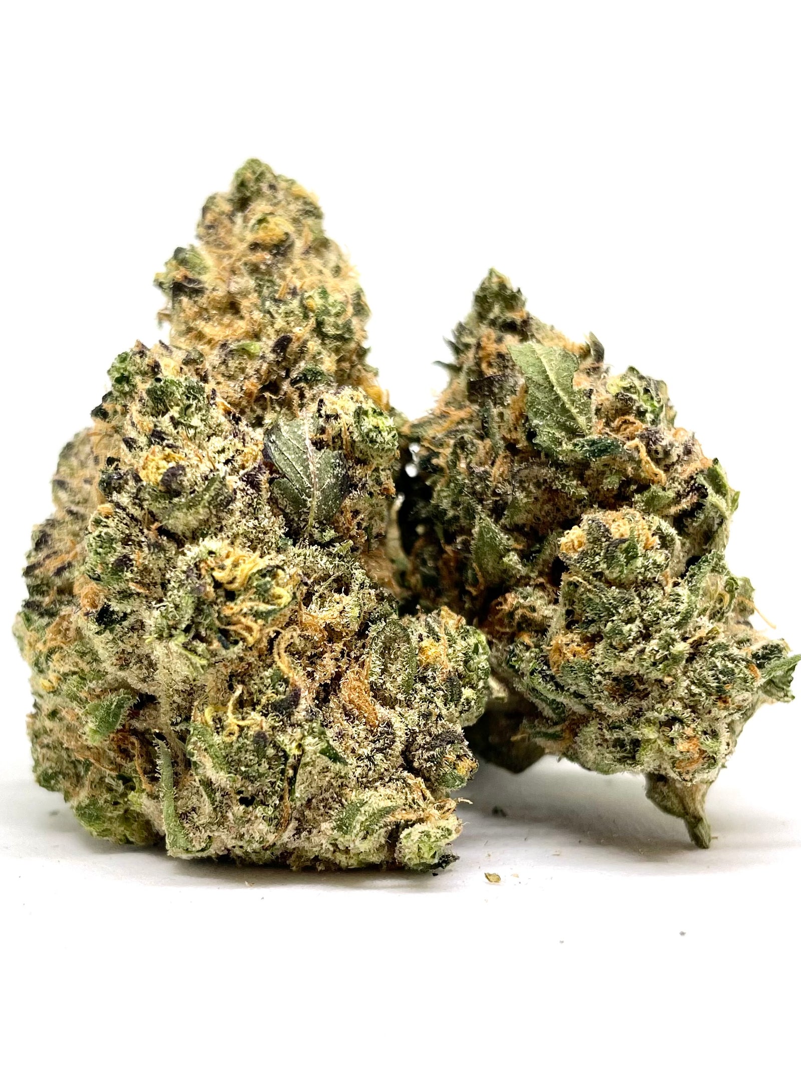 Black Mandarin marijuana strain flower with pine and pungent flavor and uplifted / happy effects - Rare Harvest hybrid