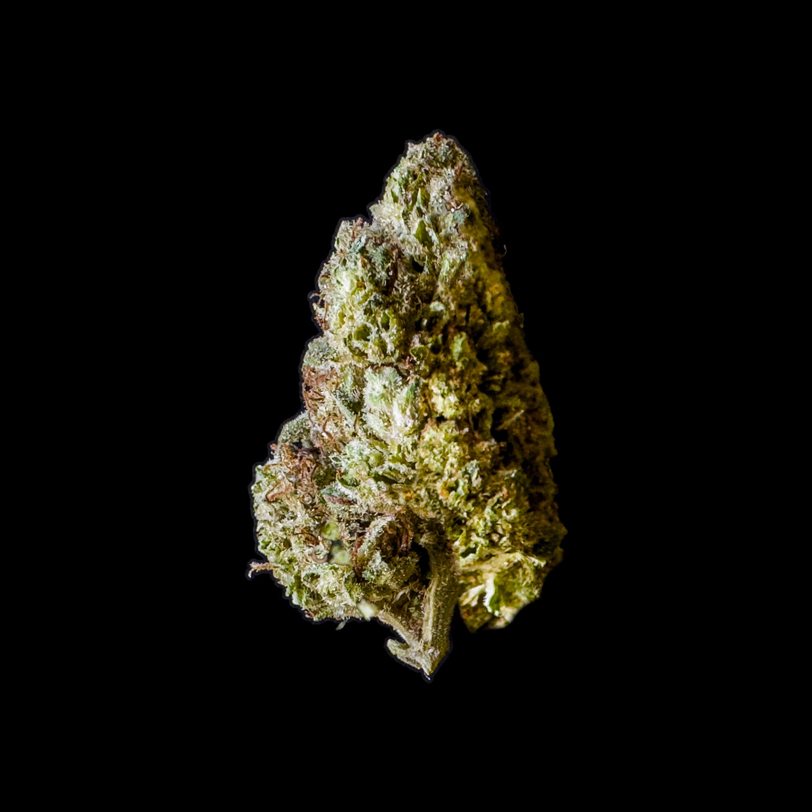 Wedding Wreck marijuana strain flower and energetic / uplifted effects - Rare Harvest sativa