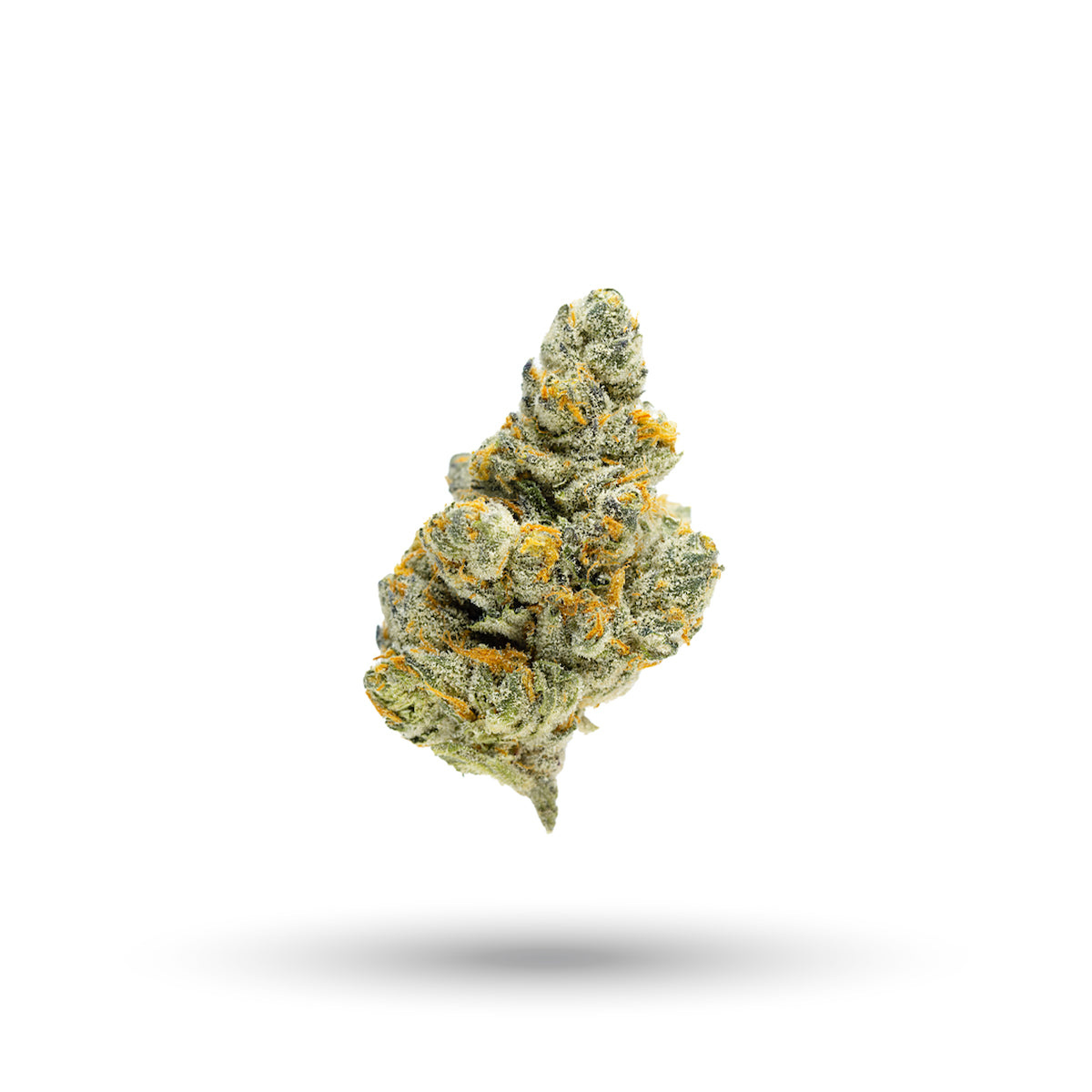 Aspen Dreamz marijuana strain flower with berry and pine flavor and energetic / uplifted effects - Rare Harvest sativa