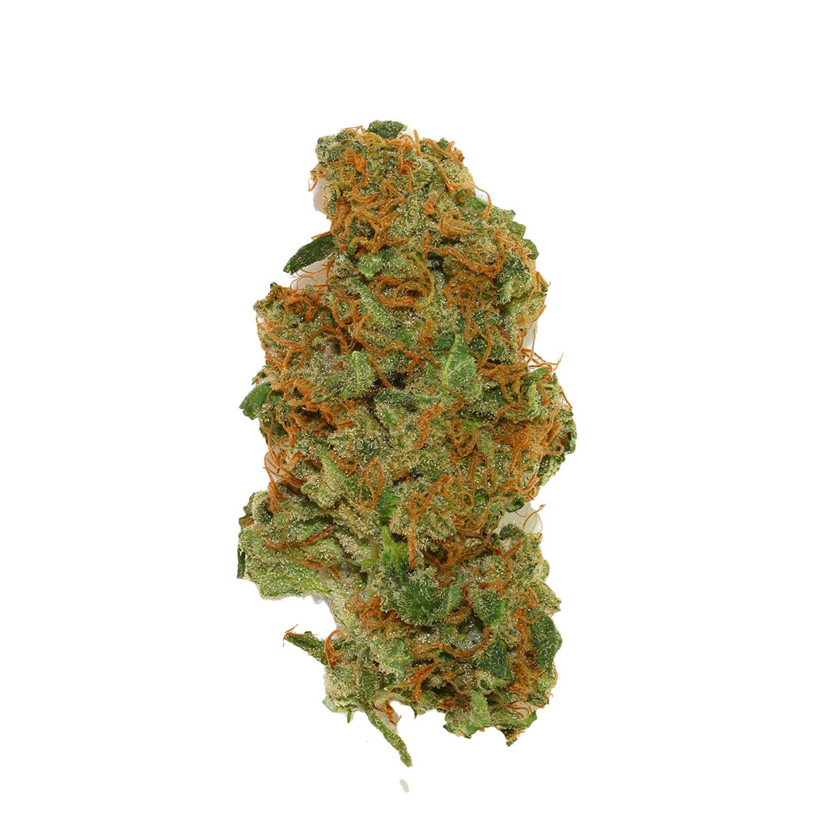 Sweet Zenzation marijuana strain flower - Rare Harvest hybrid