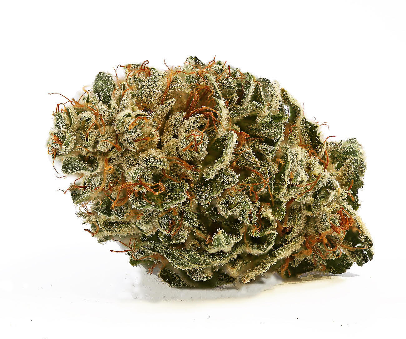 White CBG marijuana strain flower with tobacco and nutty flavor and focused / relaxed effects - Rare Harvest hybrid