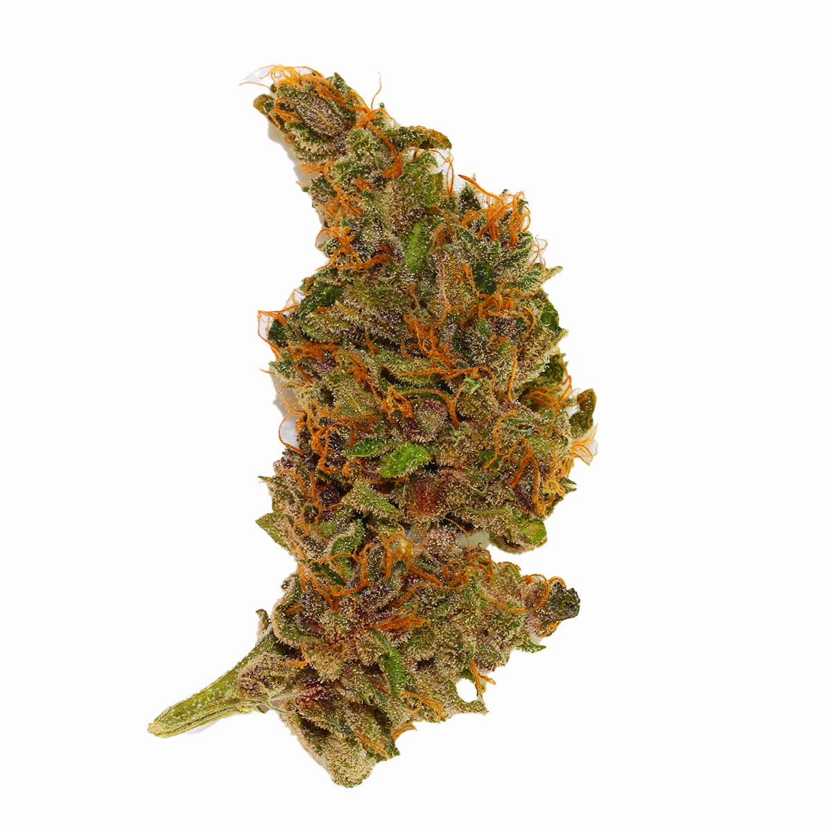 Red Strawberry Banana Auto marijuana strain flower with strawberry and berry flavor and creative / euphoric effects - Rare Harvest hybrid