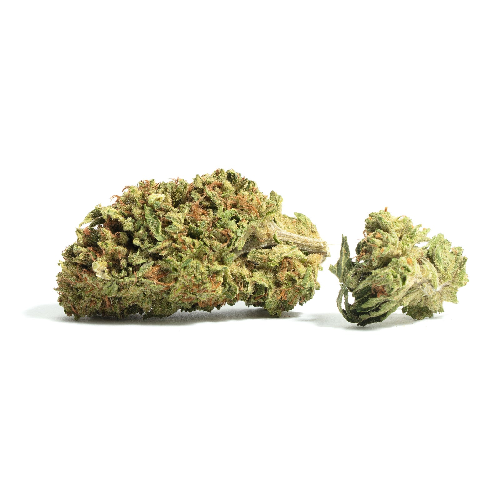 Lemon Garlic OG marijuana strain flower with pepper and lemon flavor and focused / uplifted effects - Rare Harvest hybrid
