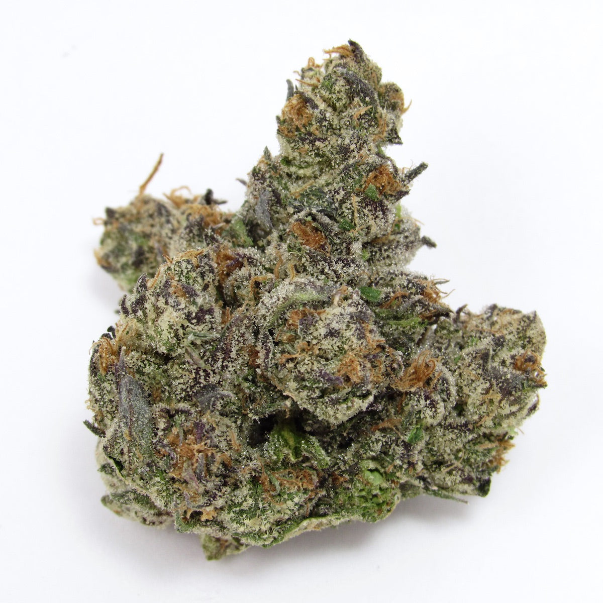 Capital Haze marijuana strain flower with ammonia and diesel flavor and energetic / creative effects - Rare Harvest sativa