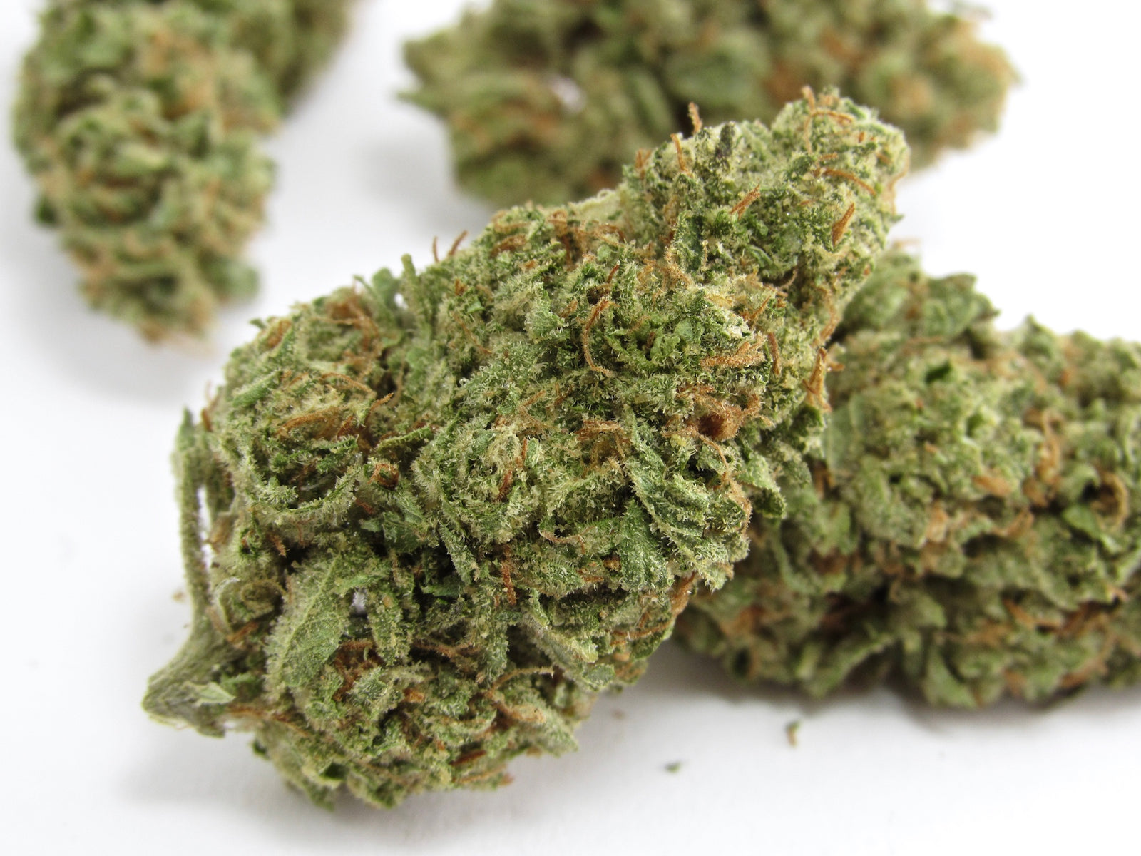 OMG marijuana strain flower with chemical and menthol flavor and relaxed / sleepy effects - Rare Harvest hybrid