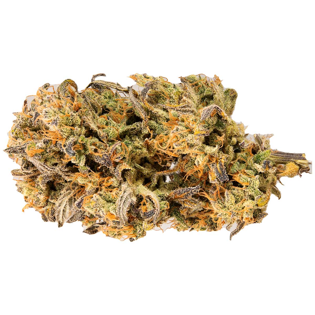 Jet Fuel Mandarine XL Auto marijuana strain flower - Rare Harvest hybrid