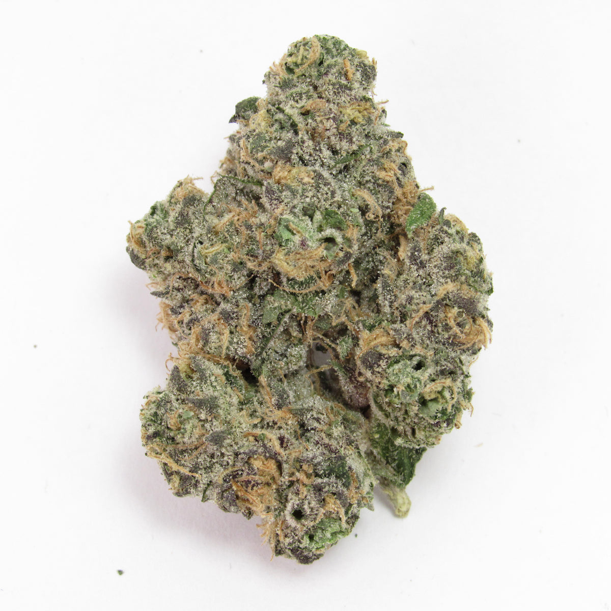 Blackberry Gary marijuana strain flower with strawberry and tropical flavor and euphoric / creative effects - Rare Harvest hybrid