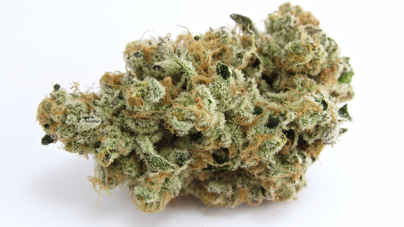 Platinum Kush Breath marijuana strain flower with blue cheese and nutty flavor and sleepy / hungry effects - Rare Harvest hybrid