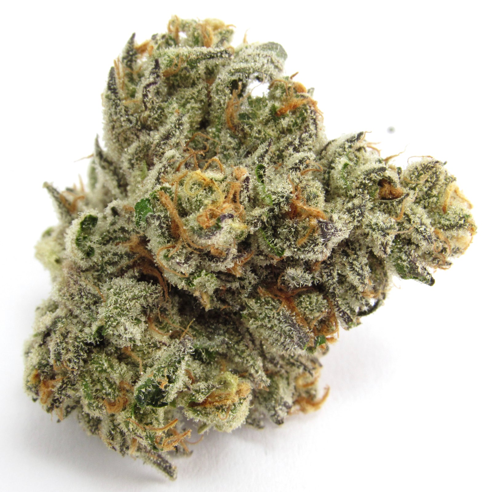 Stay Puft marijuana strain flower with apple and berry flavor and energetic / creative effects - Rare Harvest hybrid