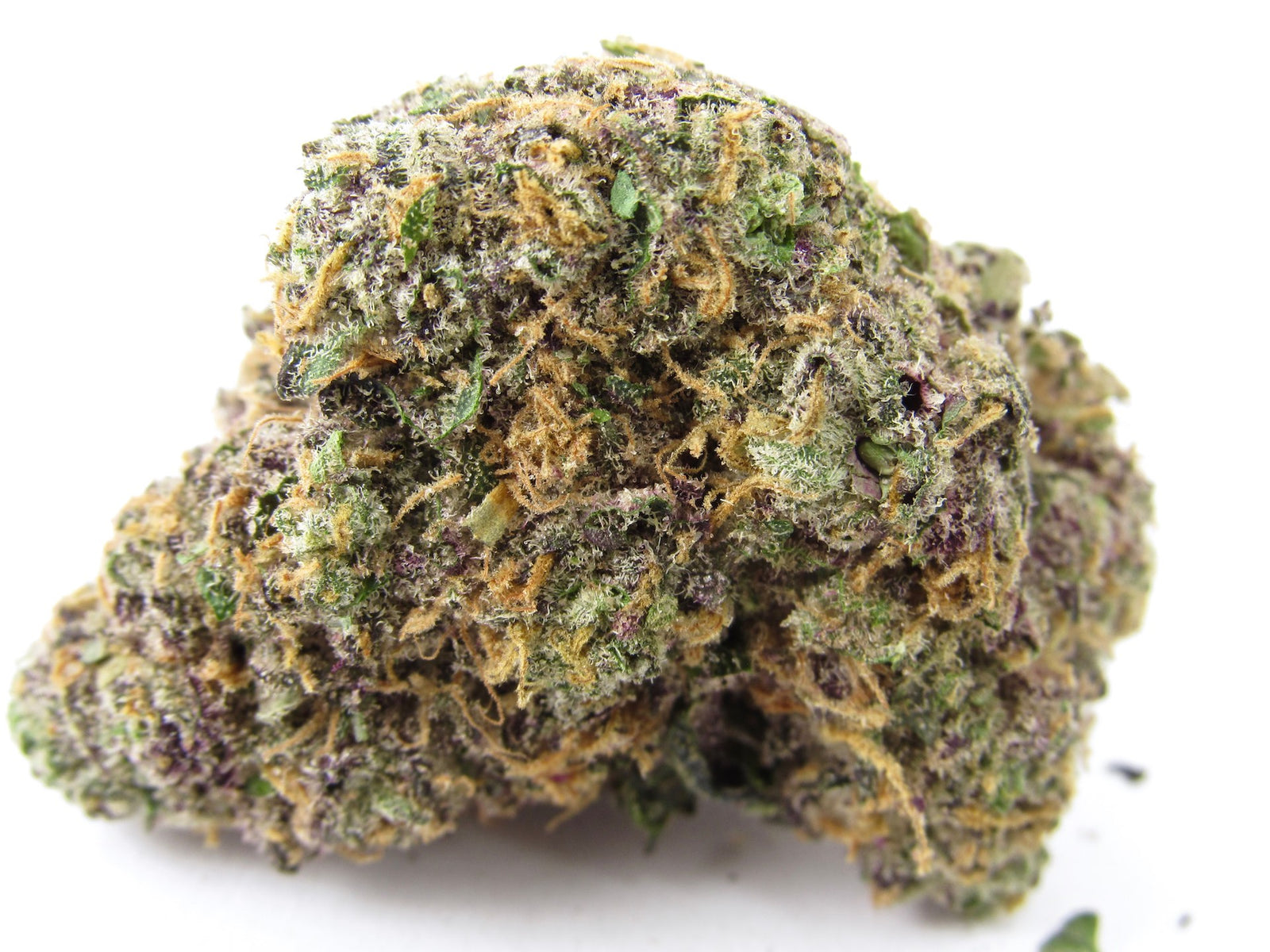 Zoap marijuana strain flower with apricot and chemical flavor and giggly / relaxed effects - Rare Harvest hybrid