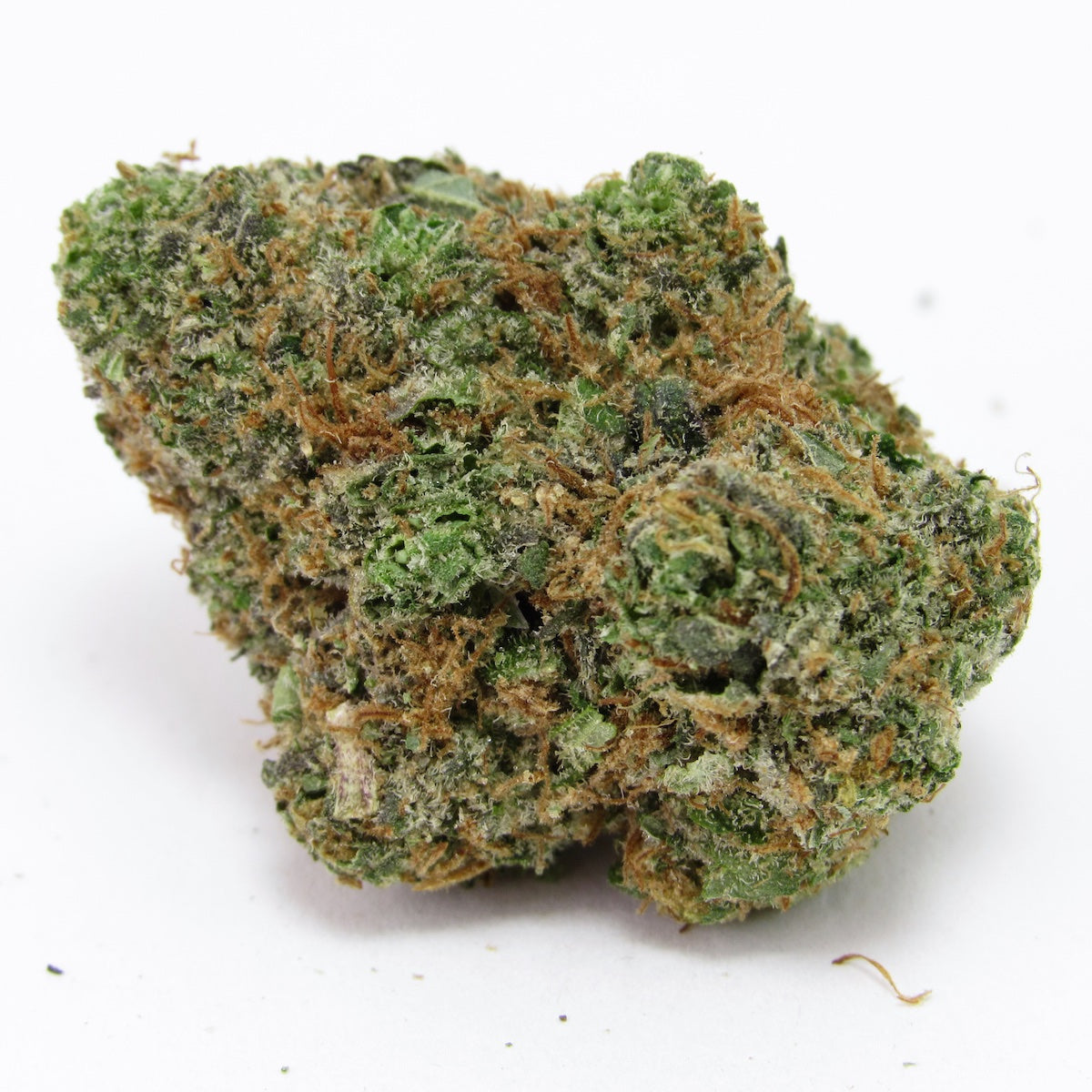 Grapefruit Zlushiez marijuana strain flower with grapefruit and diesel flavor and energetic / uplifted effects - Rare Harvest hybrid